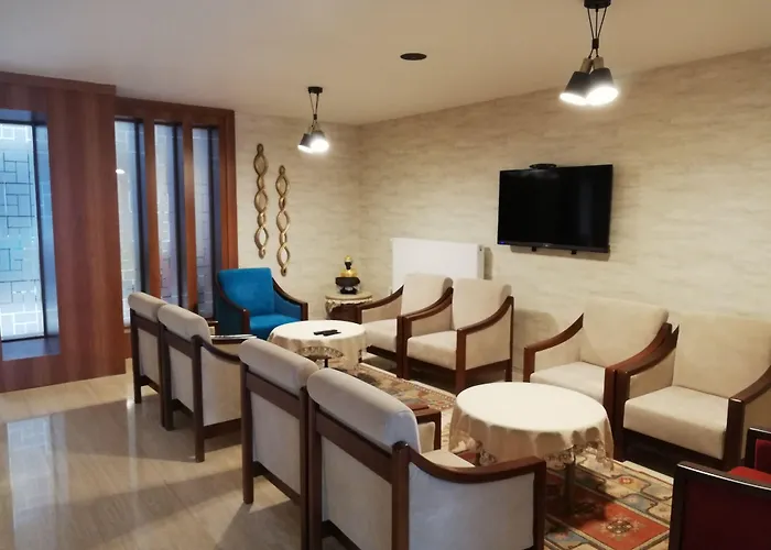 Hotel Piskin Denizli (Denizli)